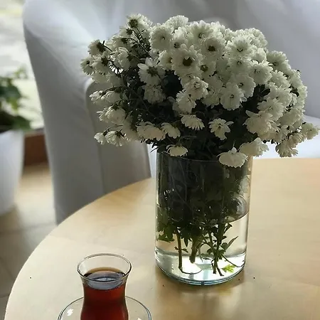 Hotel Doro Burgas