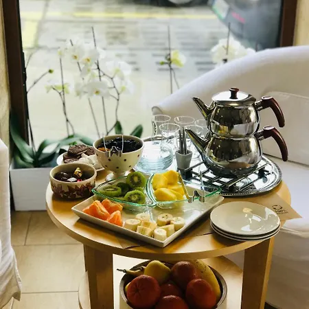 Hotel Doro